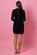 Augustine Zane Velvet Dress