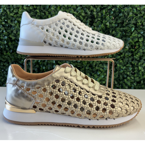 Belle Scarpe Gella