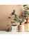 WoodWick Mini Candle