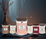 WoodWick Mini Candle