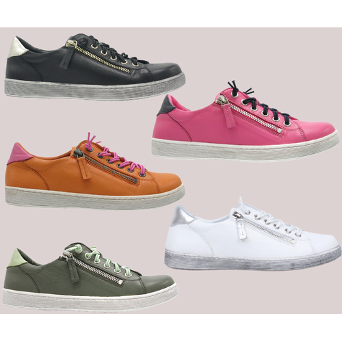 Rilassare Temi Shoe